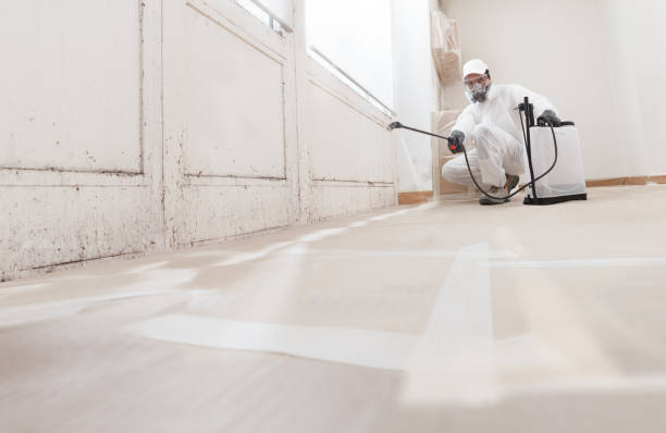 24/7 Emergency Attic Mold Removal experts in Sunbury, PA
